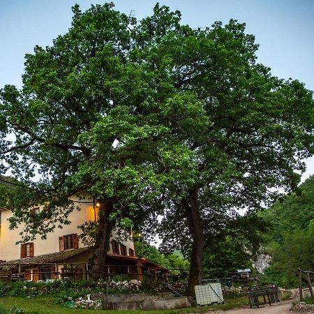 Agriturismo Le Due Querce チェッレート・ディ・スポレート エクステリア 写真