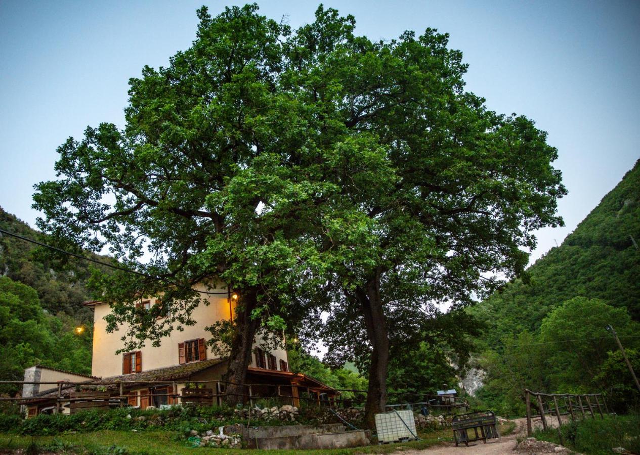 Agriturismo Le Due Querce チェッレート・ディ・スポレート エクステリア 写真